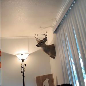 Meet your Posher, Tim